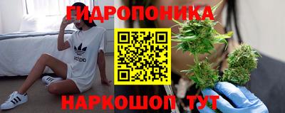 ПСИЛОЦИБИНОВЫЕ ГРИБЫ Новокубанск