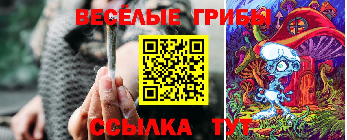 Галлюциногенные грибы Psilocybe  как найти наркотики  Вход с VPN  Советский  Псилоцибиновые грибы Psilocybe 
